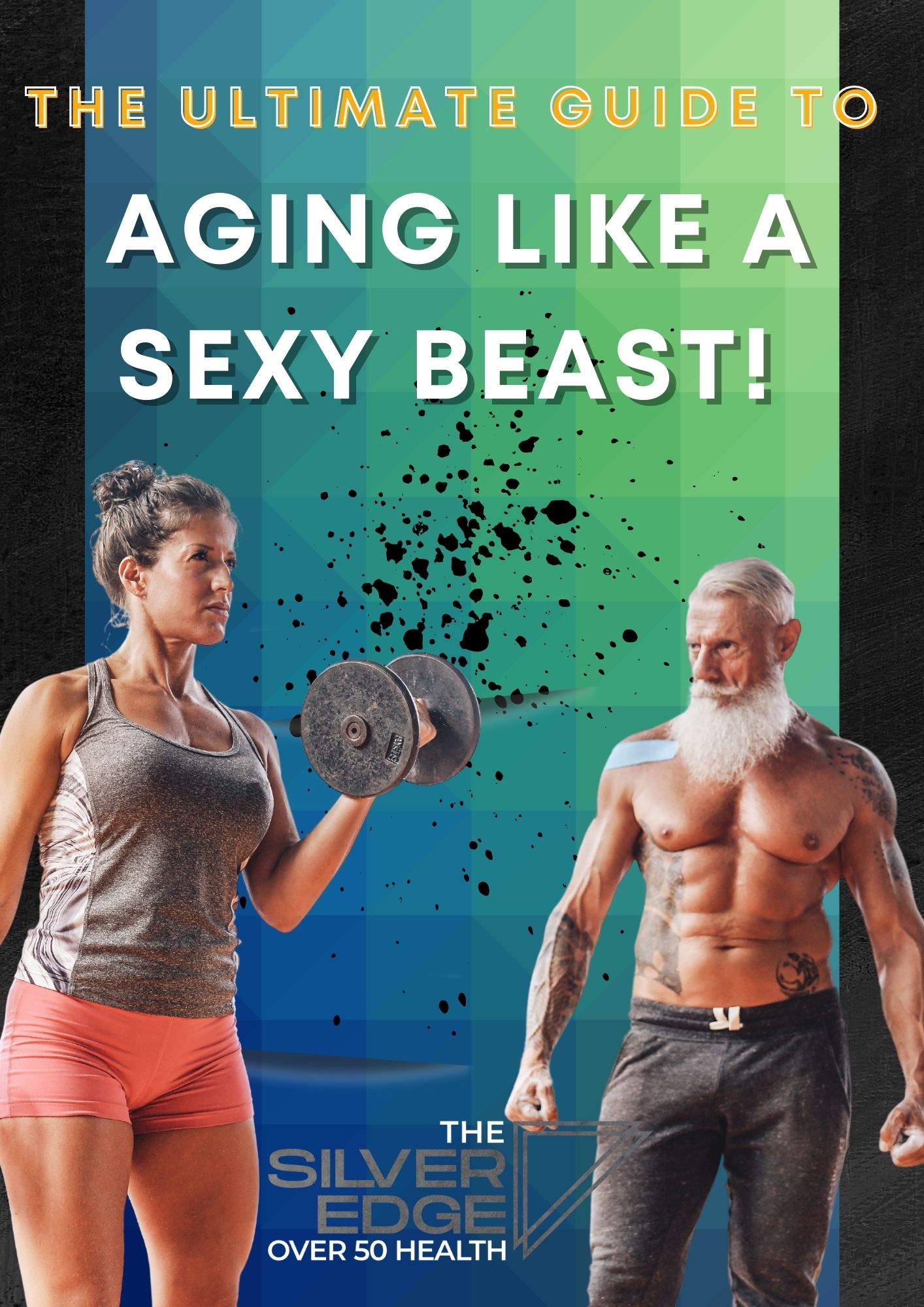 Sexy Beast Guide Cover